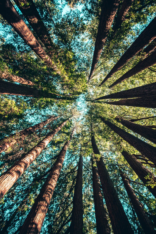 Travel Sustainably as a Digital Nomad with These Tips