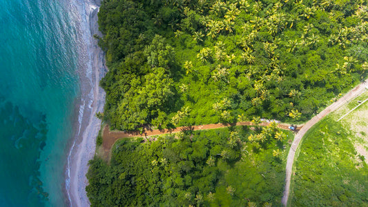 Sustainable Travel Practices for Digital Nomads