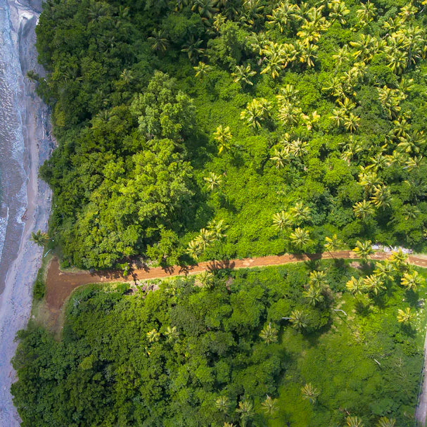 Sustainable Travel Practices for Digital Nomads