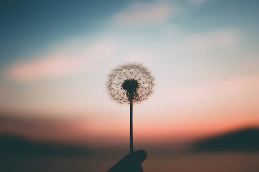 Mindfulness and Mental Health for Digital Nomads