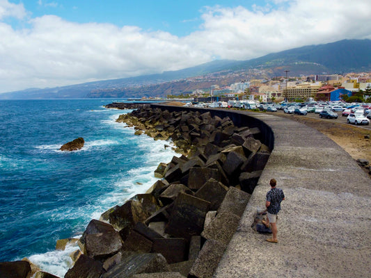 Mastering Essential Skills for Digital Nomad Success