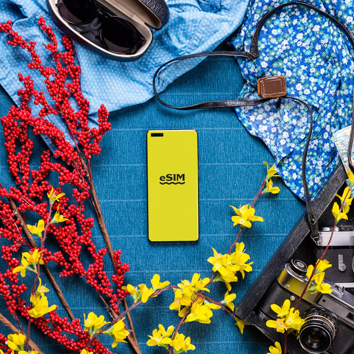 Mastering Life on the Move Tips for Digital Nomads